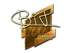 BIT (Gold) | Boston 2018 image
